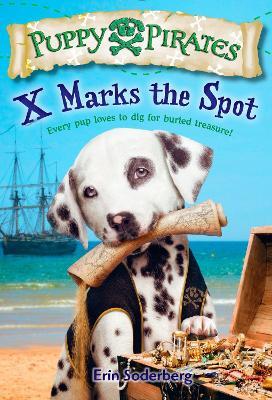 X Marks the Spot - Erin Soderberg