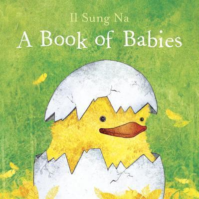 A Book of Babies - Il Sung Na