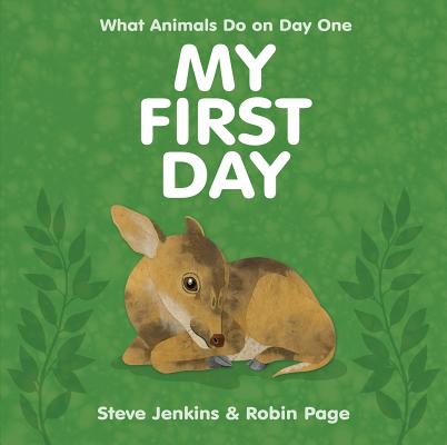 My First Day - Steve Jenkins