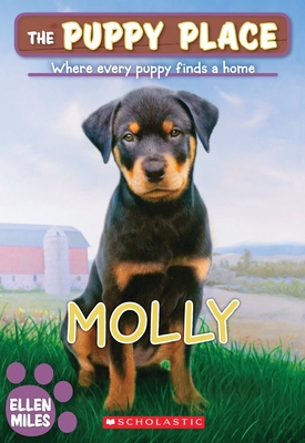 Molly (Puppy Place #31), Volume 31 - Ellen Miles