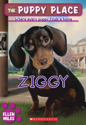 Ziggy - Ellen Miles