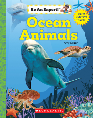 Ocean Animals (Be an Expert!) (Paperback) - Amy Edgar