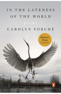 In the Lateness of the World: Poems - Carolyn Forch