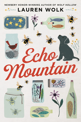Echo Mountain - Lauren Wolk