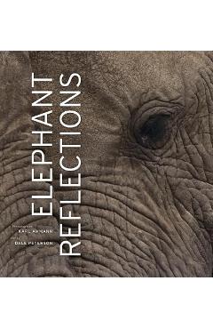 Poza produsului Elephant Reflections - Karl Ammann