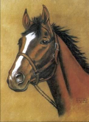 Horse Notebook - Dover