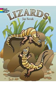Coperta cărții 'Lizards Coloring Book - Jan Sovak'