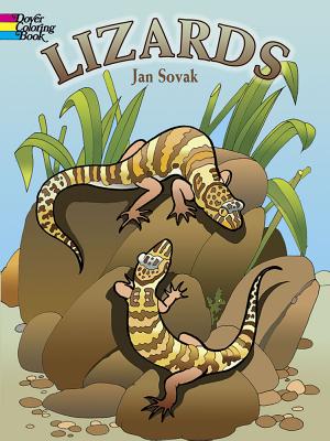 Coperta cărții 'Lizards Coloring Book - Jan Sovak'