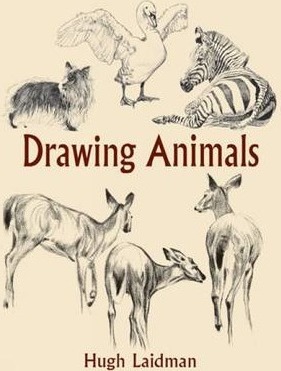 Drawing Animals - Hugh Laidman