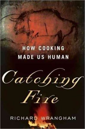 Catching Fire: How Cooking Made Us Human - Richard Wrangham