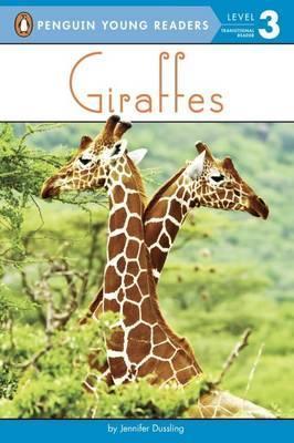 Giraffes - Jennifer A. Dussling