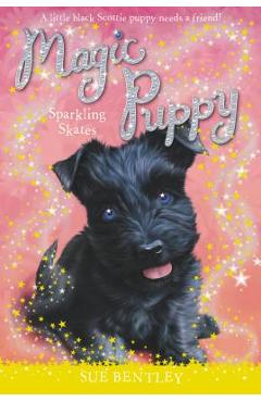 Coperta cărții 'Sparkling Skates - Sue Bentley'