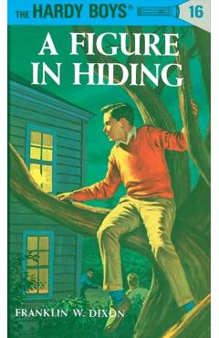 Hardy Boys 16: A Figure in Hiding - Franklin W. Dixon