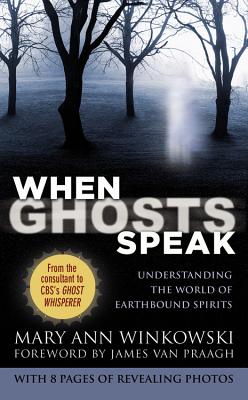 When Ghosts Speak: Understanding the World of Earthbound Spirits - Mary Ann Winkowski