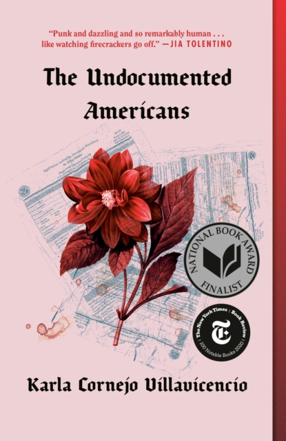 The Undocumented Americans - Karla Cornejo Villavicencio