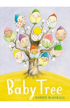 Coperta cărții 'The Baby Tree - Sophie Blackall'