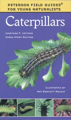 Caterpillars - Karen Stray Nolting