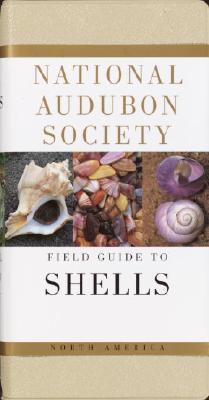 National Audubon Society Field Guide to North American Seashells - National Audubon Society