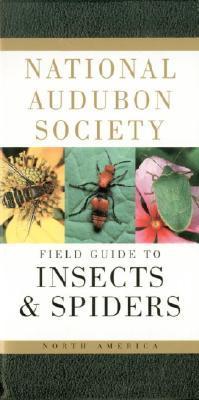 National Audubon Society Field Guide to Insects and Spiders: North America - National Audubon Society