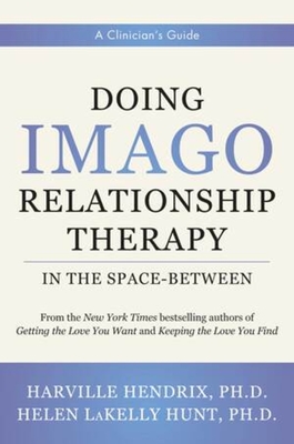 Doing Imago Relationship Therapy in the Space-Between: A Clinician's Guide - Harville Hendrix