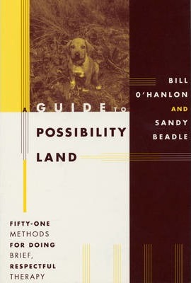 A Guide to Possibility Land: Fifty-One Methods for Doing Brief, Respectful Thearpy - Sandy Beadle