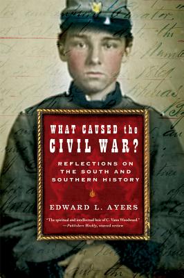 What Caused the Civil War?: Reflections on the South and Southern History - Edward L. Ayers