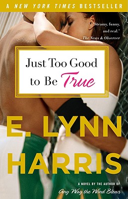 Just Too Good to Be True - E. Lynn Harris