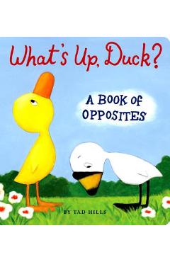 Poza produsului What's Up, Duck?: A Book of Opposites - Tad Hills