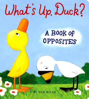 What's Up, Duck?: A Book of Opposites - Tad Hills