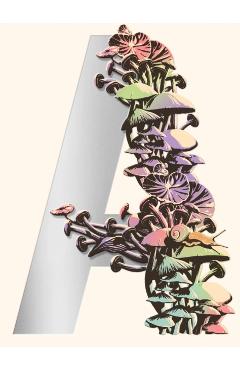Ambergris: City of Saints and Madmen; Shriek: An Afterword; Finch - Jeff Vandermeer