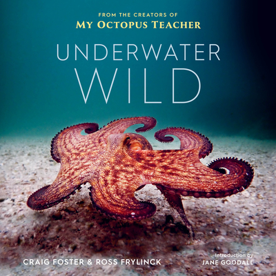 Underwater Wild: My Octopus Teacher's Extraordinary World - Craig Foster