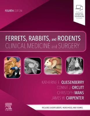 Ferrets, Rabbits, and Rodents: Clinical Medicine and Surgery - Katherine Quesenberry