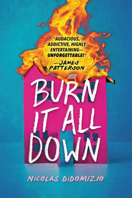Burn It All Down - Nicolas Didomizio