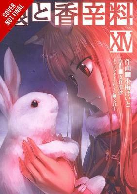 Spice and Wolf, Vol. 14 (Manga) - Isuna Hasekura