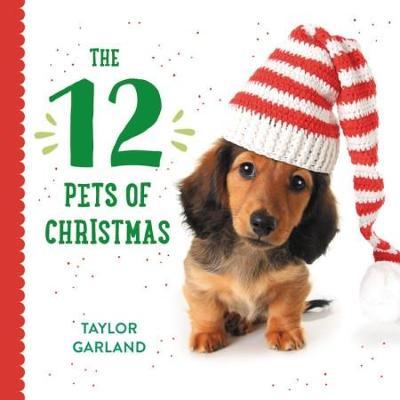 The 12 Pets of Christmas - Taylor Garland