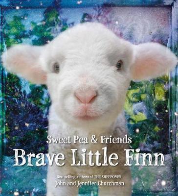 Brave Little Finn - Jennifer Churchman