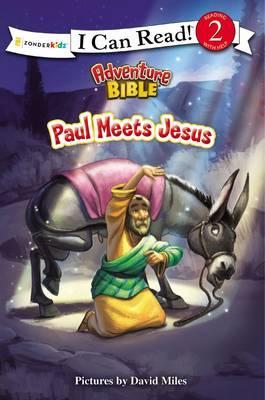 Paul Meets Jesus Softcover - David Miles