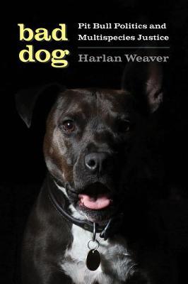 Bad Dog: Pit Bull Politics and Multispecies Justice - Harlan Weaver