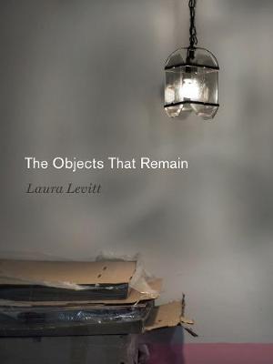 The Objects That Remain - Laura Levitt