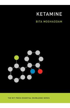 Ketamine - Bita Moghaddam