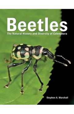 Beetles: The Natural History and Diversity of Coleoptera - Stephen Marshall