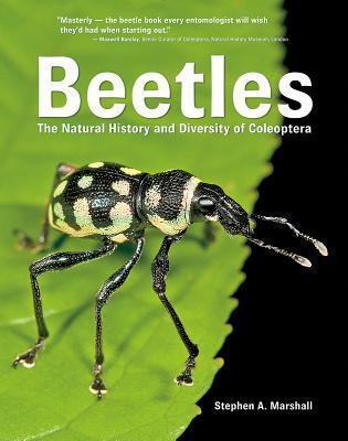 Beetles: The Natural History and Diversity of Coleoptera - Stephen Marshall