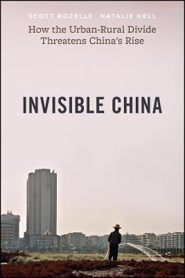 Invisible China: How the Urban-Rural Divide Threatens China's Rise - Scott Rozelle