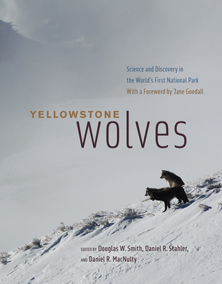 Yellowstone Wolves: Science and Discovery in the World's First National Park - Douglas W. Smith
