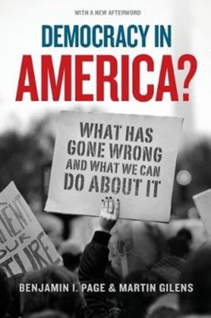 Democracy in America?: What Has Gone Wrong and What We Can Do about It - Benjamin I. Page