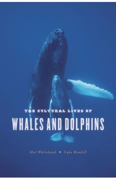 The Cultural Lives of Whales and Dolphins - Hal Whitehead
