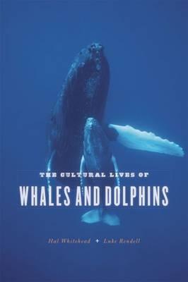 The Cultural Lives of Whales and Dolphins - Hal Whitehead