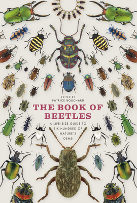 The Book of Beetles: A Life-Size Guide to Six Hundred of Nature's Gems - Patrice Bouchard