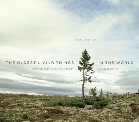 The Oldest Living Things in the World - Rachel Sussman