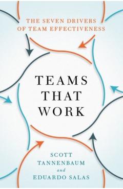 Teams That Work: The Seven Drivers of Team Effectiveness - Scott Tannenbaum